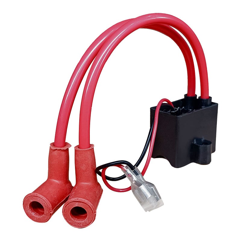 CDHPOWER LD100 CDHPOWER Motor Capacitor Discharge Ignition-CDI wth Two Head-Upgraded CDI of YD100-Gas Motorized Bicycle 100CC - Image 3